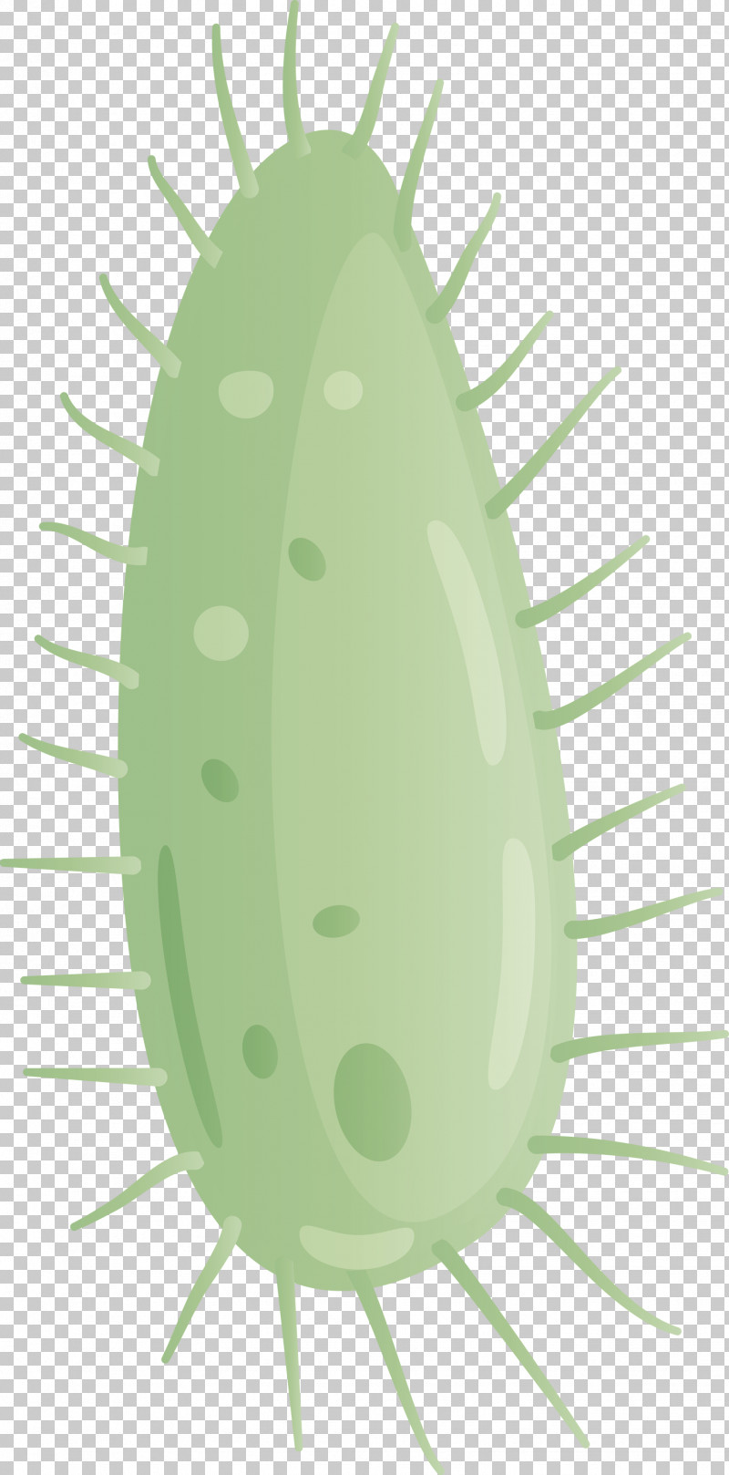 Virus PNG, Clipart, Cucumis, Insect, Oval, Plant, Virus Free PNG Download