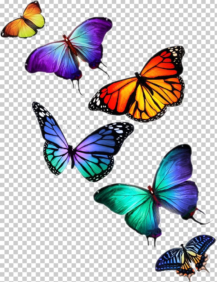 Butterfly Stock Photography Desktop PNG, Clipart, Brush Footed Butterfly, Butterfly, Desktop Wallpaper, Drawing, Fly Free PNG Download