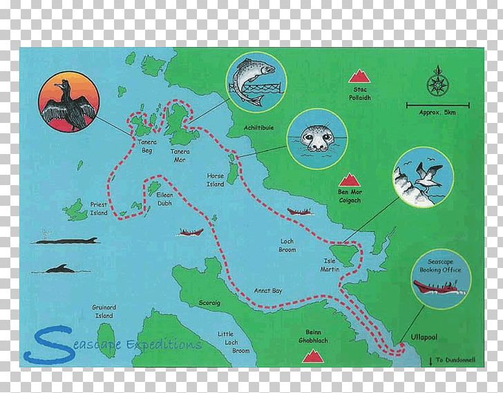 Map Water Tuberculosis PNG, Clipart, Broom, Expedition, Grass, Green, Isle Free PNG Download