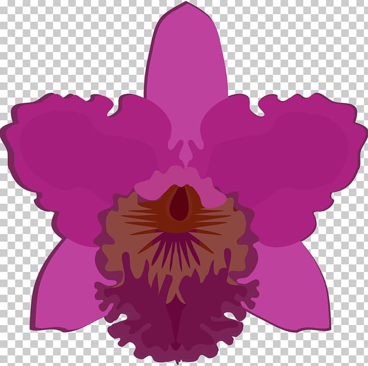 Orchids Drawing Open Portable Network Graphics PNG, Clipart, Art, Botanical Illustration, Cattleya, Cattleya Orchids, Drawing Free PNG Download