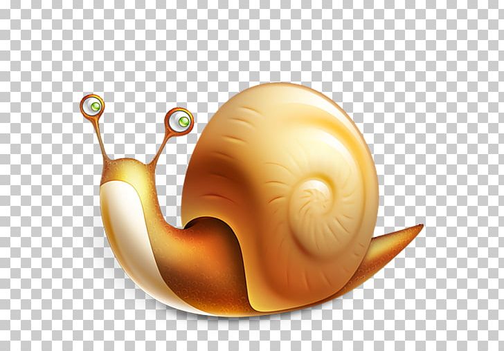 Sea Snail Caracol Snail Mail Apple PNG, Clipart, Animals, Apple, Caracol, Invertebrate, Invoice Free PNG Download