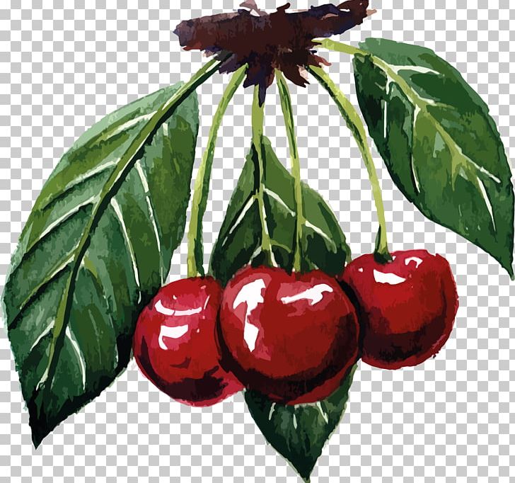 Cherry Berry Slatko Auglis Fruit PNG, Clipart, Auglis, Berry, Cherry, Download, Food Free PNG Download