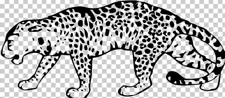 Amur Leopard Snow Leopard PNG, Clipart, Animal Figure, Bear, Big Cats, Black, Black White Free PNG Download