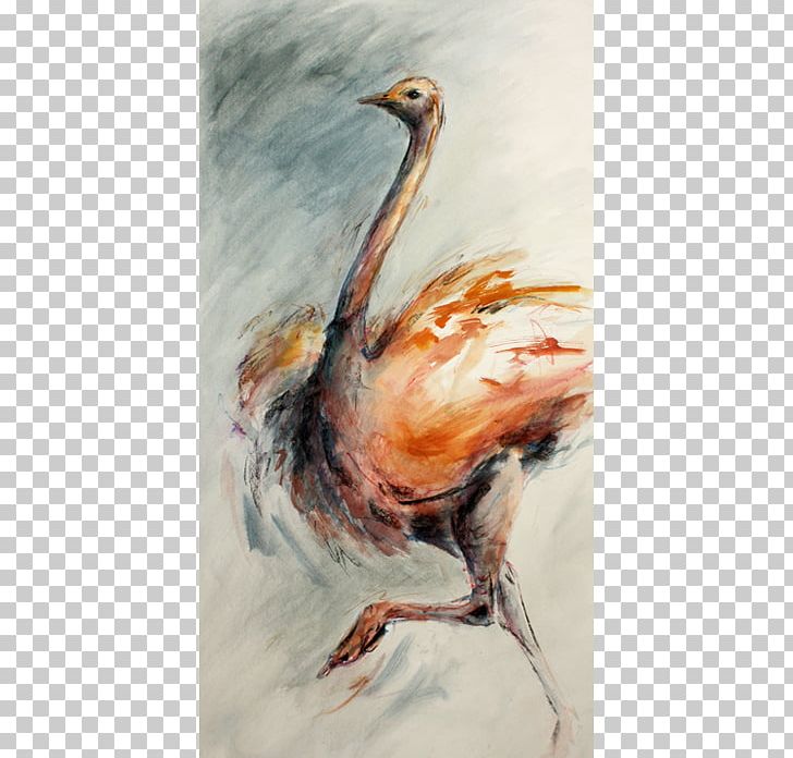 Chicken Watercolor Painting Pope Bird PNG, Clipart, Animals, Artwork, Beak, Bird, Chicken Free PNG Download
