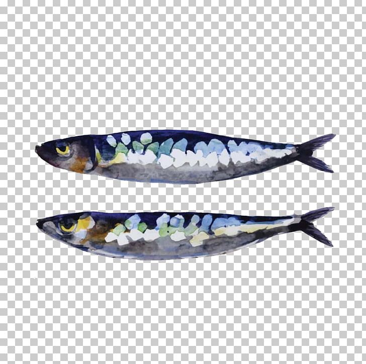 Sardine European Pilchard Fish PNG, Clipart, Animals, Big, Canned Fish, Cartoon, Drawing Free PNG Download