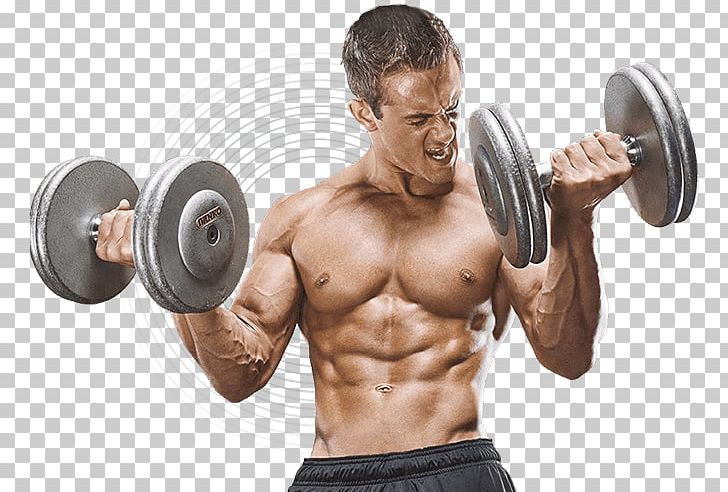 Weight Training Dietary Supplement Glutamine Bodybuilding Muscle PNG, Clipart, Abdomen, Aggression, Amino Acid, Arm, Bodybuilder Free PNG Download