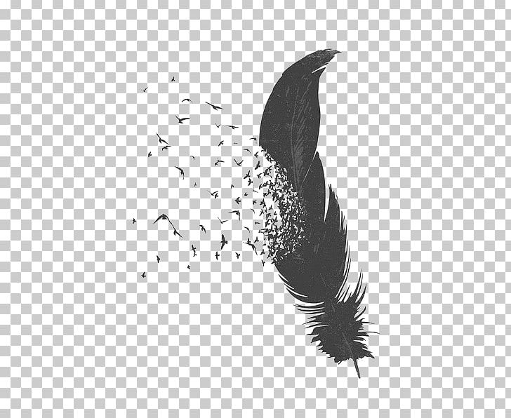 Bird Feather Drawing PNG, Clipart, Art, Beak, Bird, Black, Black And White Free PNG Download