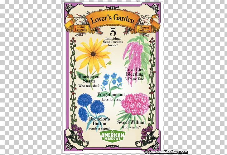 Network Packet Cut Flowers Jumbo Frame PNG, Clipart, Annual Plant, Art, Black Eyed Susan, Butterfly Gardening, Cut Flowers Free PNG Download