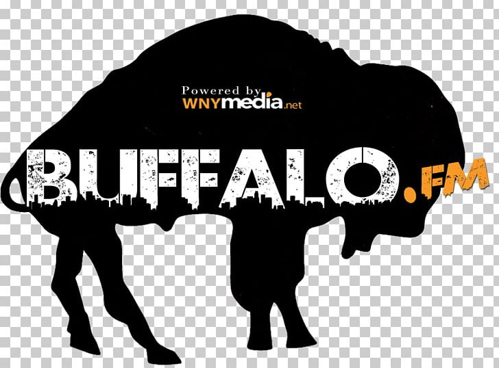 Buffalo Bills 1969 NFL/AFL Draft Detroit Lions PNG, Clipart, American Football, American Football League, Brand, Buffalo, Buffalo Bills Free PNG Download
