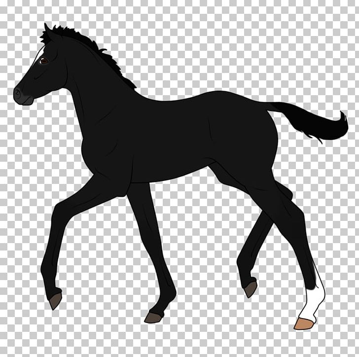 Dutch Warmblood Pony Stallion Mare Silhouette PNG, Clipart, Animal Figure, Animals, Black And White, Bridle, Colt Free PNG Download