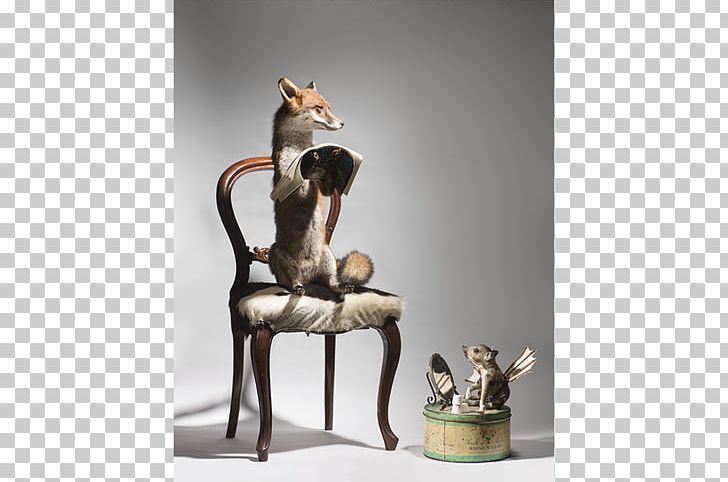 Galway-Mayo Institute Of Technology Art Museum Art Exhibition PNG, Clipart, Animals, Art, Art Exhibition, Art Museum, Arts Free PNG Download