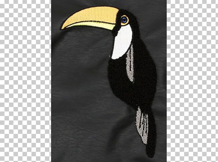 Toucan Raglan Sleeve Jacket Mini Rodini Sweater PNG, Clipart, Artificial Leather, Baseball, Beak, Bird, Clothing Free PNG Download