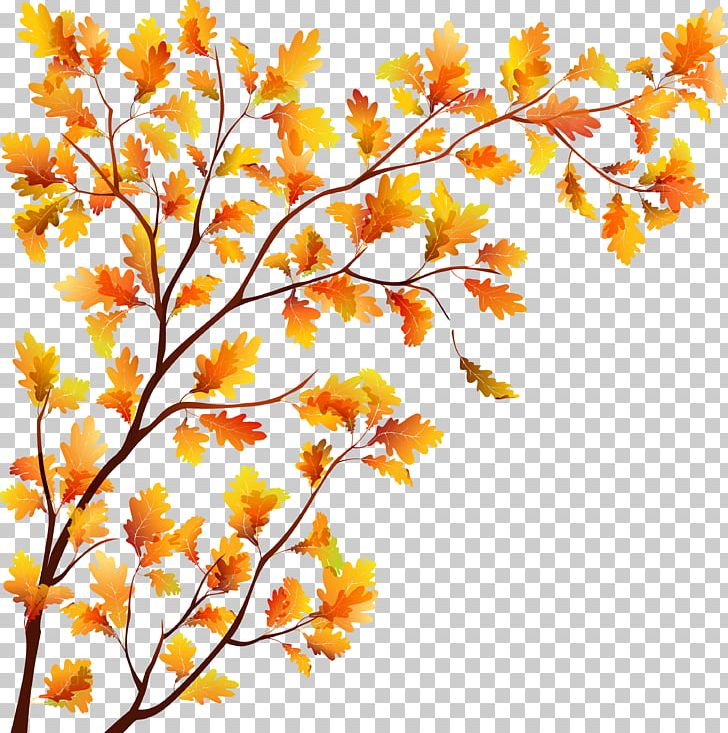 Tree Autumn Leaf PNG, Clipart, Autumn, Autumn Leaf Color, Branch, Deciduous, Depositphotos Free PNG Download