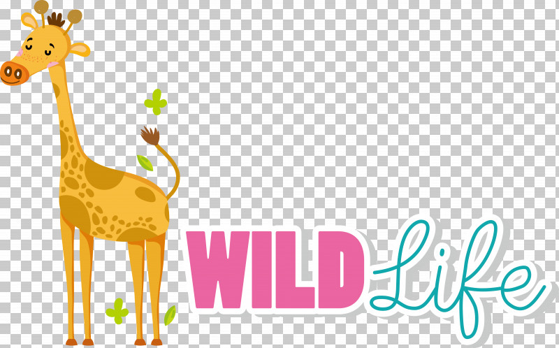 Reindeer PNG, Clipart, Cartoon, Giraffe, Giraffids, Logo, Meter Free PNG Download