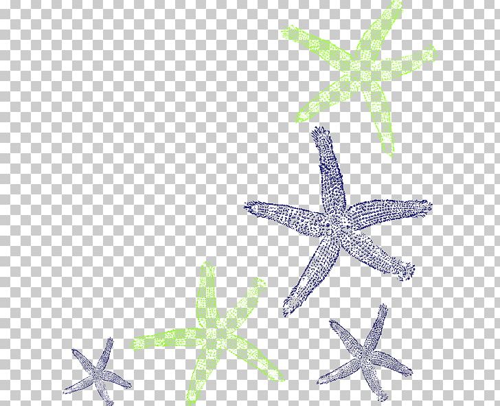 Computer Icons Drawing PNG, Clipart, Art, Blue, Blue Starfish, Computer Icons, Coral Reef Free PNG Download