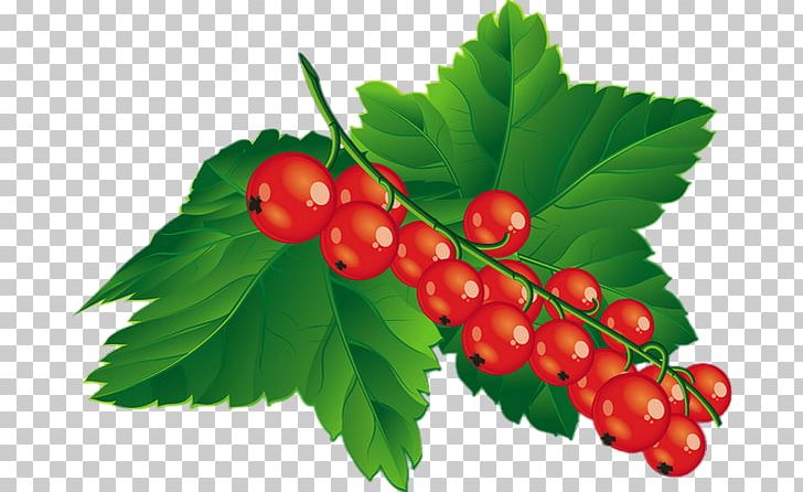 Blueberry Raspberry PNG, Clipart, Berry, Blackberry, Blueberry, Cherry, Clip Art Free PNG Download