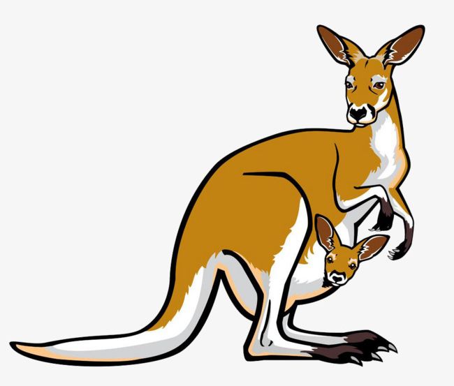 Cartoon Kangaroo PNG, Clipart, Animal, Animals, Animals In The Wild, Australia, Cartoon Free PNG Download