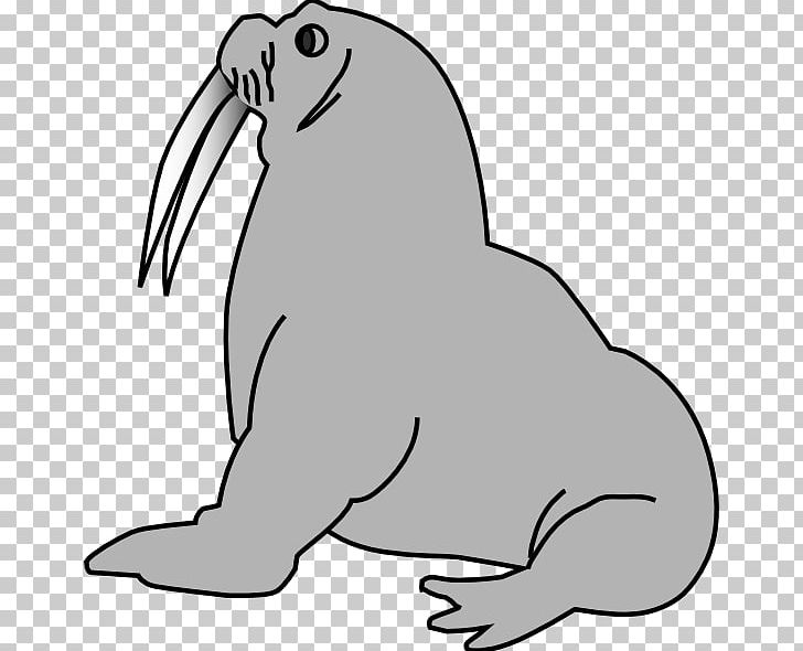 Pinniped Free PNG, Clipart, Beak, Beaver, Black, Black And White, Carnivoran Free PNG Download