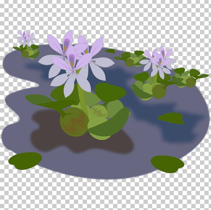 Pond Common Water Hyacinth PNG, Clipart, Aquatic Plants, Clip Art, Common Water Hyacinth, Computer Icons, Flora Free PNG Download