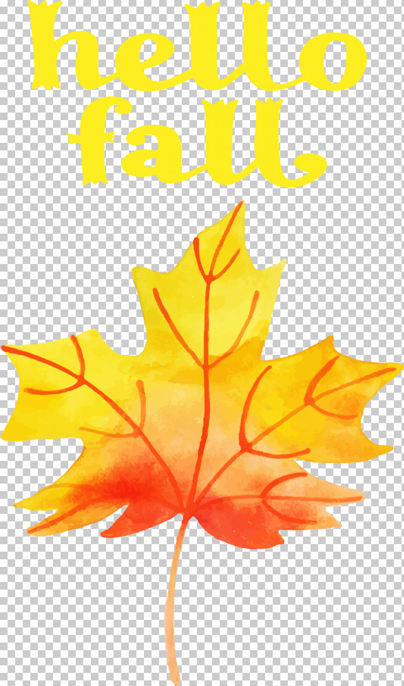Hello Fall Fall Autumn PNG, Clipart, Autumn, Collecting, Fall, Flower, Hello Fall Free PNG Download