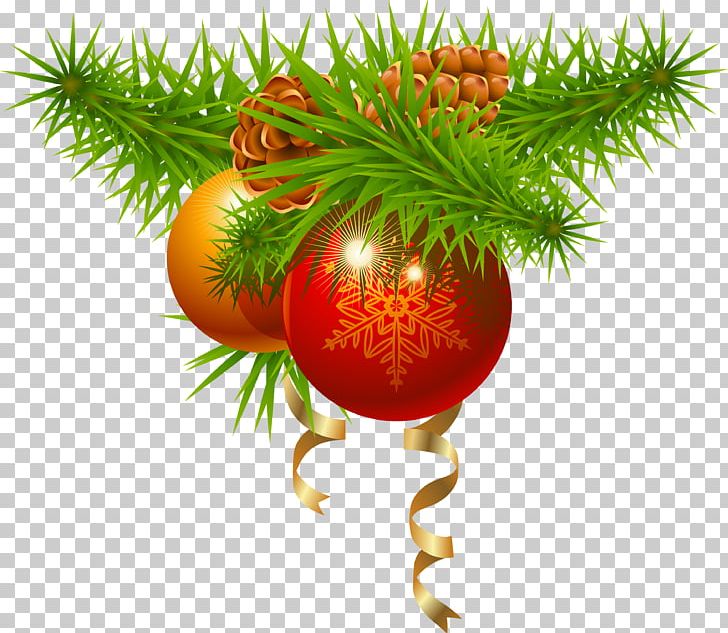 Christmas Decoration Christmas Ornament PNG, Clipart, Advent Wreath, Branch, Christmas, Christmas And Holiday Season, Christmas Card Free PNG Download