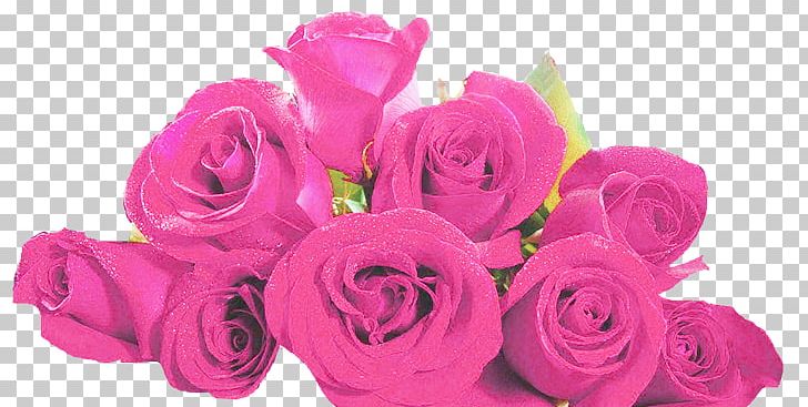 Garden Roses Cabbage Rose Cut Flowers Floral Design PNG, Clipart, Artificial Flower, Cut Flowers, Flipflops, Floral Design, Floristry Free PNG Download