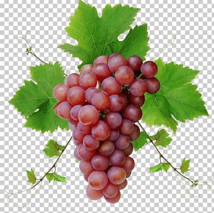 Grape Seed Oil Desktop Juice Grape Seed Extract PNG, Clipart, Berry, Computer, Desktop Wallpaper, Display Resolution, Food Free PNG Download