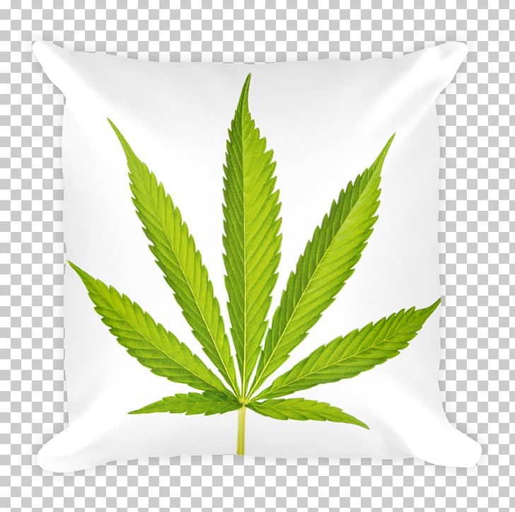 Cannabis Sativa Hemp Oil Cannabidiol PNG, Clipart, Bong, Cannabidiol, Cannabis, Cannabis Sativa, Dietary Fiber Free PNG Download