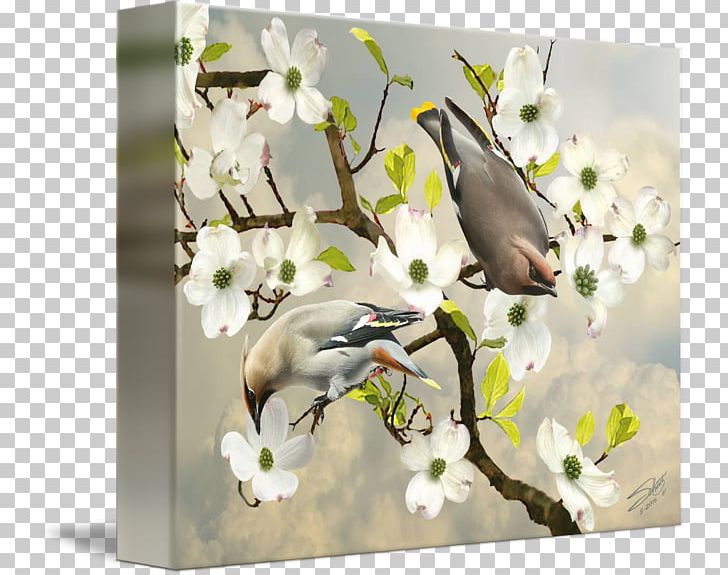 Cherry Blossom Floral Design Fauna PNG, Clipart, Blossom, Bohemia Fower, Branch, Cherry, Cherry Blossom Free PNG Download