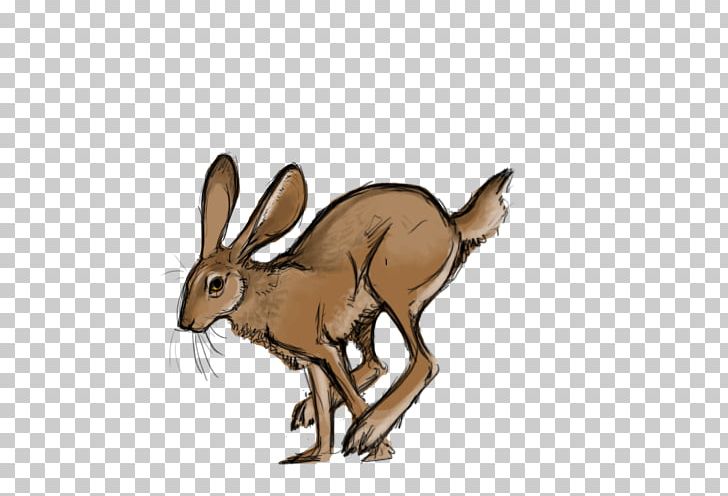 Domestic Rabbit Hare Rodent Dog Canidae PNG, Clipart, Animal, Animal Figure, Canidae, Cartoon, Dog Free PNG Download