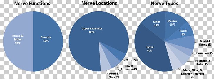 Peripheral Nerve Lesions Neuroregeneration Nerve Allograft Peripheral Nervous System PNG, Clipart, Axogen Inc, Brand, Cell, Central Nervous System, Circle Free PNG Download