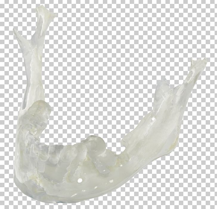 Dental Crafters PNG, Clipart, 3 D Print, 3d Computer Graphics, 3d Printing, Accurate, Anatomy Free PNG Download