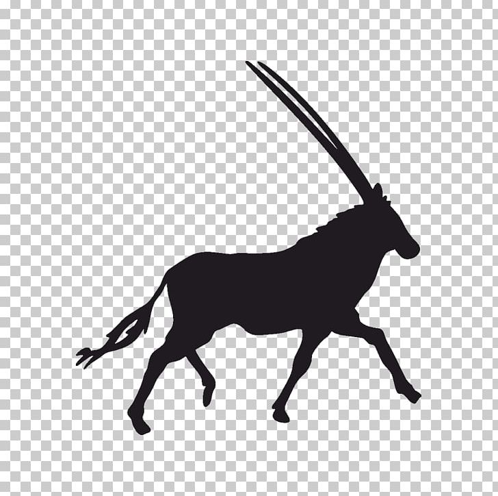 Gemsbok Horse Tunisia Photography Animal PNG, Clipart, Animal, Animals, Antelope, Black And White, Cow Goat Family Free PNG Download