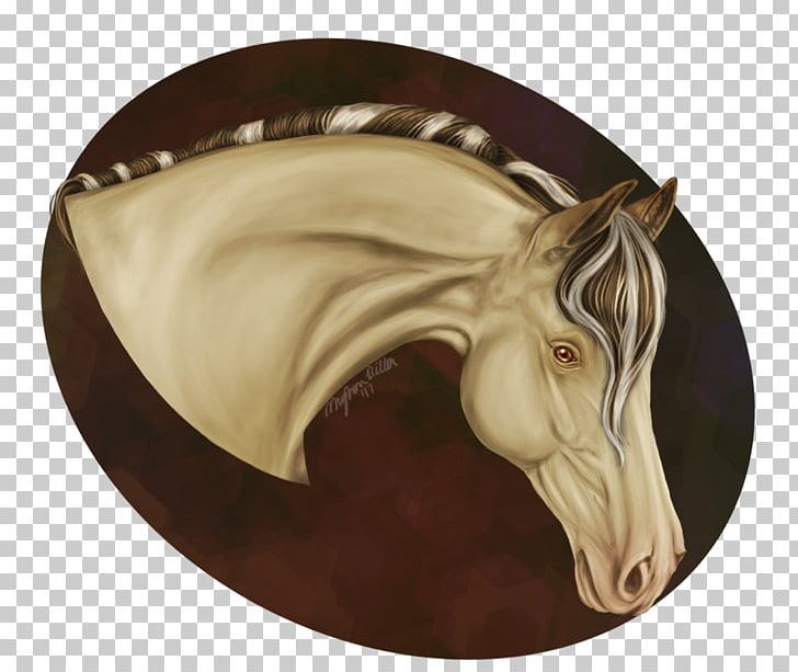 Rein Snout Halter PNG, Clipart, Canaan, Halter, Head, Horse, Horse Like Mammal Free PNG Download