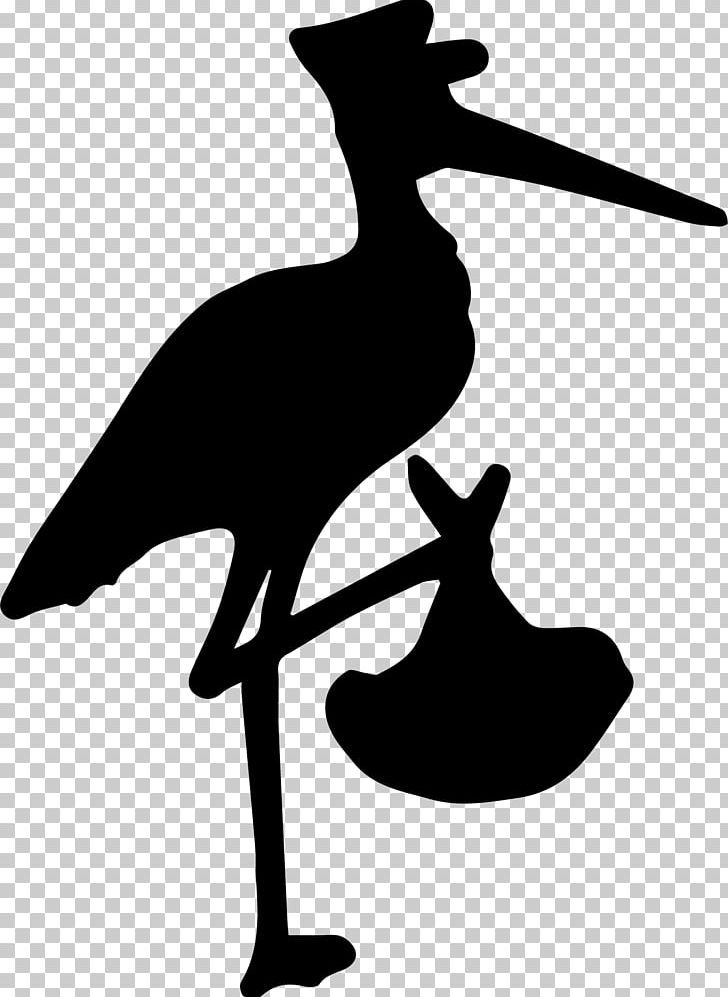 White Stork Water Bird Beak Flying Stork PNG, Clipart, Animals, Artwork, Baby, Beak, Bird Free PNG Download