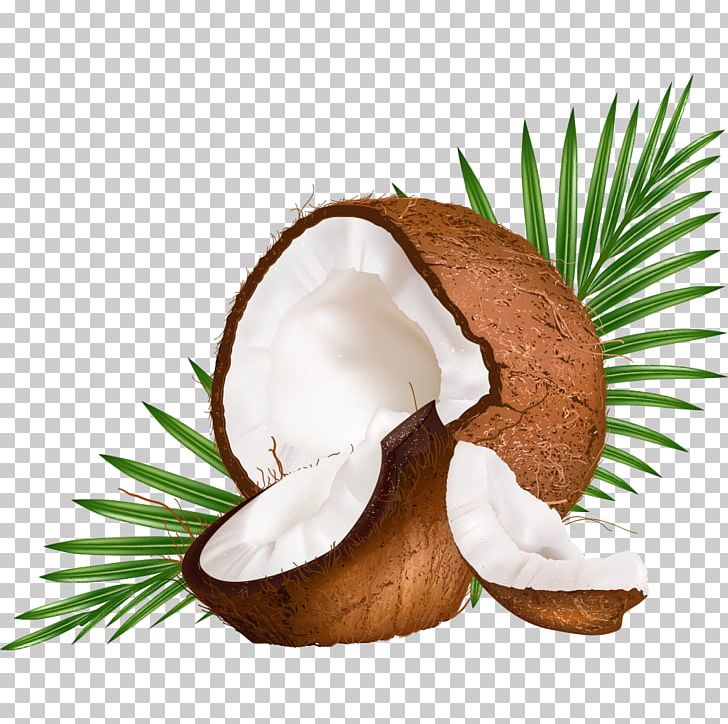 Coconut Milk Coconut Water Euclidean PNG, Clipart, Arecaceae, Cartoon, Cartoon Coconut, Coconut, Coconut Leaf Free PNG Download