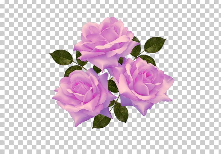 Garden Roses Cabbage Rose Floribunda Cut Flowers PNG, Clipart, App, Artificial Flower, Cut Flowers, Floribunda, Flower Free PNG Download
