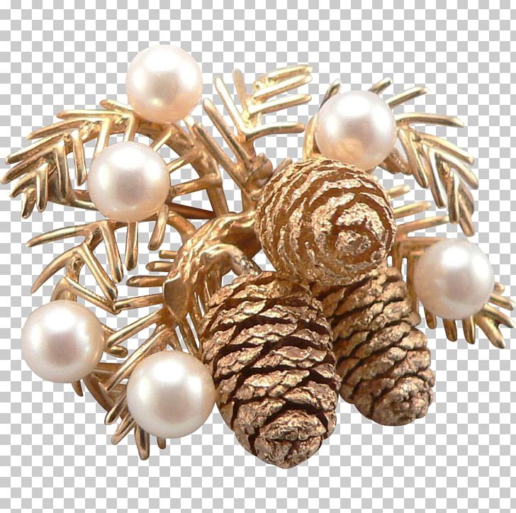 Jewellery Earring Clothing Accessories Gemstone Brooch PNG, Clipart, Body Jewellery, Body Jewelry, Brooch, Christmas Ornament, Clothing Accessories Free PNG Download