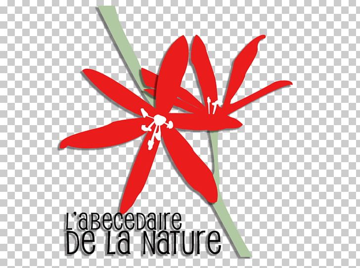 Logo Flowering Plant Line Font PNG, Clipart, Abc Book, Art, Flora, Flower, Flowering Plant Free PNG Download