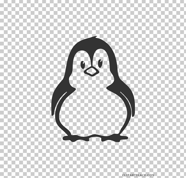 Car Wall Decal Bumper Sticker PNG, Clipart, Adhesive, Beak, Bird, Black And White, Bumper Free PNG Download