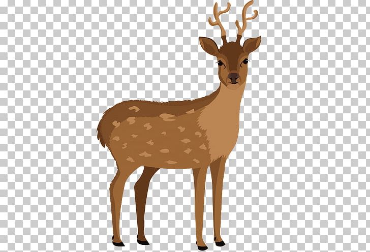 Drawing PNG, Clipart, Animated Cartoon, Antler, Art, Caricature, Cartoon Free PNG Download