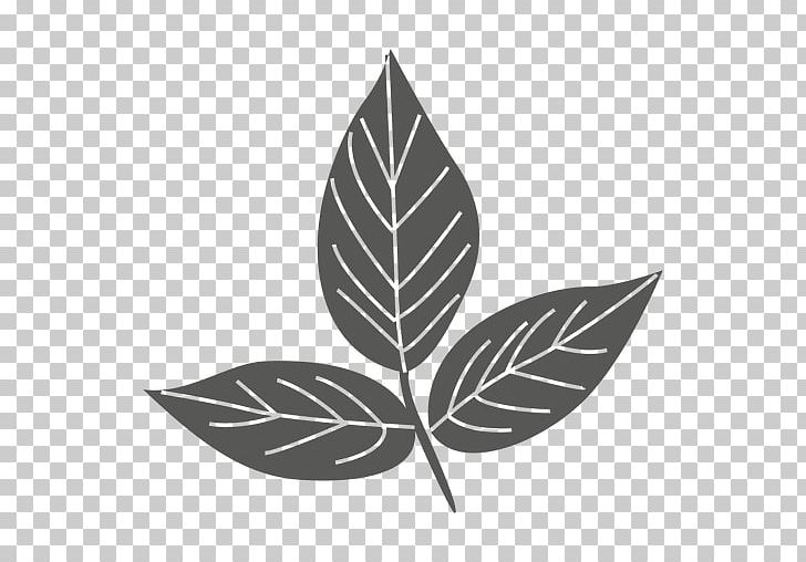 Leaf Silhouette Vexel PNG, Clipart, Ash, Black And White, Branch, City Skyline Vector, Encapsulated Postscript Free PNG Download