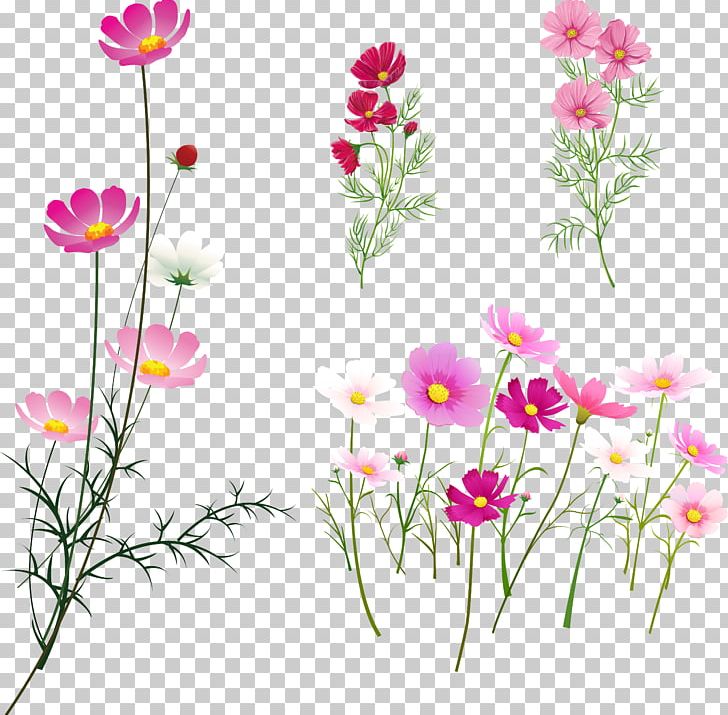 Rangoli Damask Rose Art PNG, Clipart, Annual Plant, Art, Blossom, Cdr, Floristry Free PNG Download