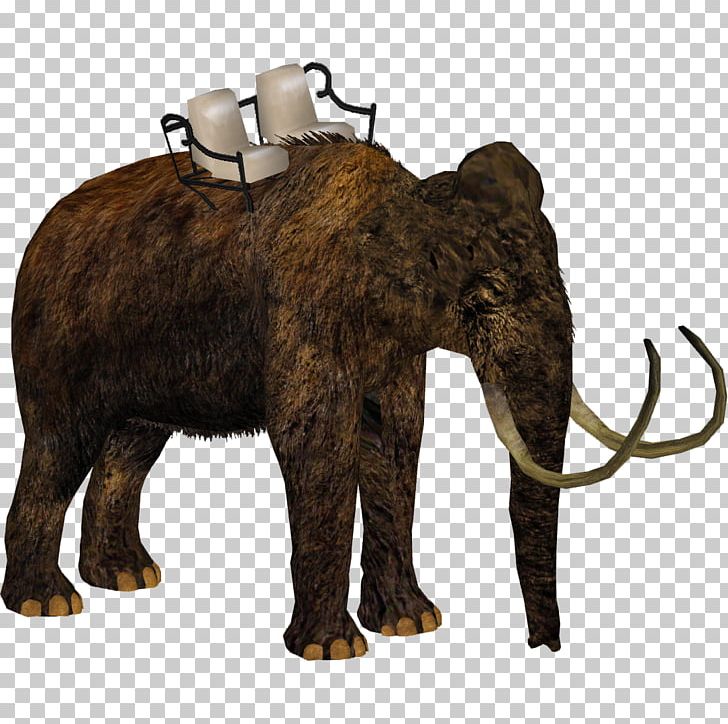 Zoo Tycoon 2: Marine Mania African Elephant Woolly Mammoth Steppe Mammoth PNG, Clipart, African Elephant, Animal, Animals, Asian Elephant, Deextinction Free PNG Download