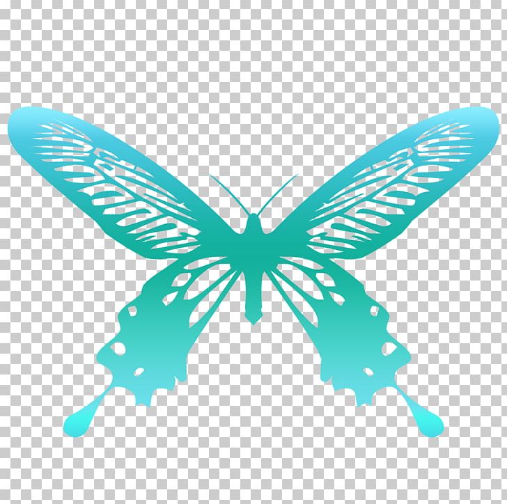 Butterfly Photography White Illustration PNG, Clipart, Aqua, Arthropod, Blue Butterfly, Butterflies, Butterfly Group Free PNG Download