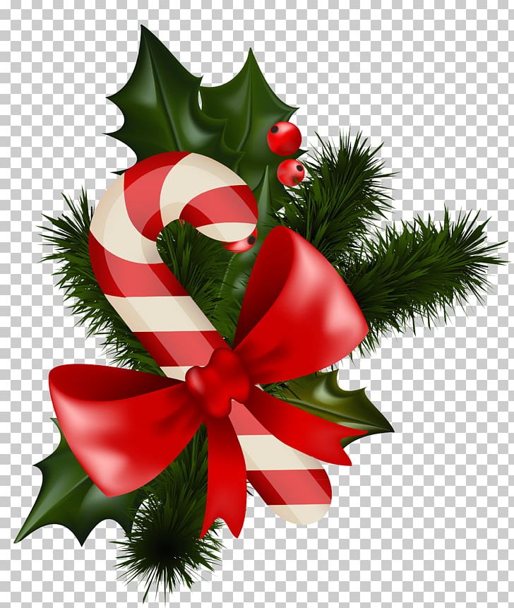 Candy Cane Mistletoe Christmas Decoration PNG, Clipart, Candy, Candy Cane, Christmas, Christmas Candy Cane, Christmas Clipart Free PNG Download