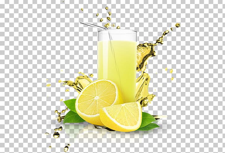 Cranberry Juice Lemonade Fizzy Drinks Gyro PNG, Clipart, Citric Acid, Cocktail Garnish, Concentrate, Cranberry Juice, Drink Free PNG Download