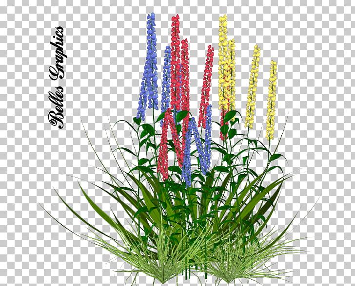 Easter Flower Plant PNG, Clipart, Aquarium Decor, Color, Doodlecom, Easter, Egg Free PNG Download