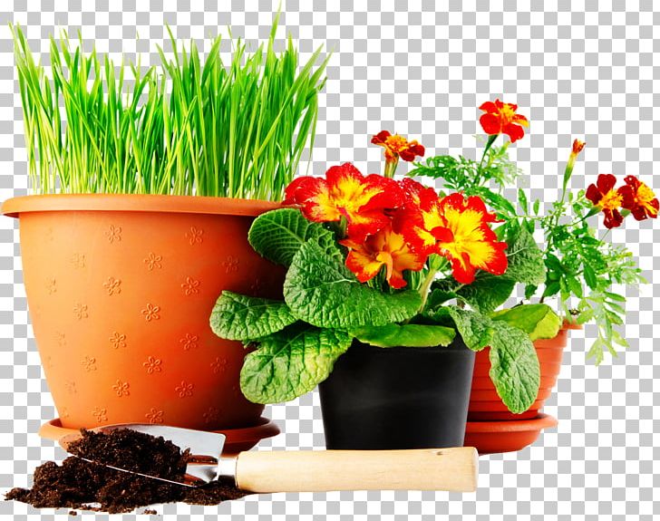Lawn Green Mat Yellow Seedling PNG, Clipart, Calendula, Flower, Flower Garden, Flower Pot, Flowerpot Free PNG Download