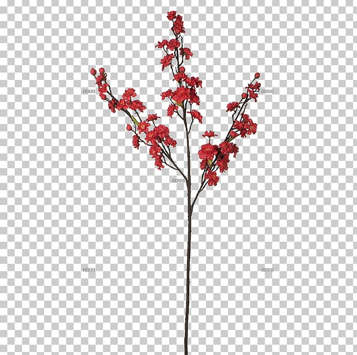 Twig Flower Red Plant Stem Branch PNG, Clipart, Aquifoliaceae, Aquifoliales, Blossom, Blume, Branch Free PNG Download